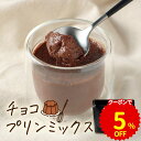 【クーポンで5％OFF】 チョコプリン の素 糖質制限 卵不使用 砂糖不使用 手作り ココア プリン ...