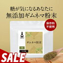【32%OFFセール】ダイエット ギムネマ 粉末 100g 粉末 タイプ インド産 グルマール 残留農薬検査実施 送料無料 食品 殺菌済