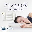 安眠枕（売れ筋ランキング） 【予告】5/10はポイント5倍！枕 肩こり 店舗人気No.1【フィット感で高評価】まくら 首こり 安眠枕 快眠 快眠枕 横寝枕 安眠 睡眠 洗える 頸椎 症 首 寝返り サポート いびき 高め 低め パイプ 高級 プレゼント ギフト無料 ロフテー 快眠枕 LT-040 makura