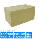 ダンボール 160サイズ 200枚 茶色 850×450×300 【法人限定】 段ボール ダンボール箱 段ボール箱 収納 梱包 宅配