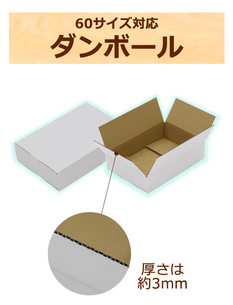 No.14 ダンボール 白 60サイズ 310*210*70 140枚 BF C5 【法人限定】 【送料無料】（ ダンボール 引越し 引っ越し 段ボール ダンボール箱 段ボール 段ボール箱 ダンボール 収納 宅配 ） 2