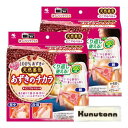 小林製薬 あずきのチカラ 温熱パッド どこでもベルト 2個セット(4)