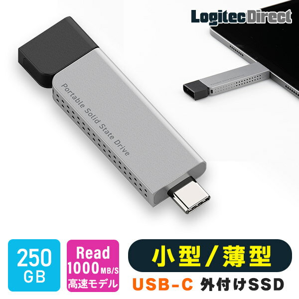 SSD 外付け 250GB 高速 R:1000MB/S iPhone 対応 薄型 スリム Type-C USB-C iPad PS5 PS5 Pro 動作確認済み USB 10Gbps 小型 ポータブル スティック USBメモリ タイプ ロジテック LMD-SPDH025UC pr_256gbs