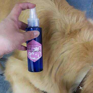 わんのはな ハーブdeマモロ オーガニックハーブ虫除け化粧水スプレー 盲導犬コラボ 犬猫用 110cc