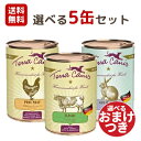 【正規輸入品】TerraCanis(テラカニス) 選べる5個セット 犬用 400g クラシック/グレインフリー/ピュアミート/ガーデンベジタブル/ 犬のごはん