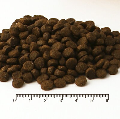【正規輸入品】フィッシュ4ドッグ スーペリア パピー 犬用 6kg