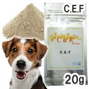 【正規輸入品】C&R C.E.F. 犬用 Sサイズ(20g)(旧・SGJプロダクツ) 【メール便】