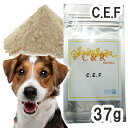 【正規輸入品】C&R C.E.F. 犬用 Mサイズ(37g)(旧・SGJプロダクツ) 【メール便】