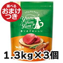 ヤムヤムヤム 馬肉 ドライタイプ 犬用 1.3kg×3袋セット Yum Yum Yum! 犬のごはん