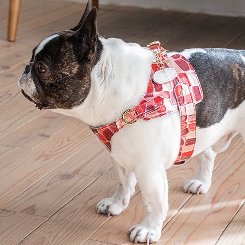 �ʥ�����ɥե�����ƥ� �ϡ��ͥ� �ܥǥ��٥�� A������ ���奨�꡼������