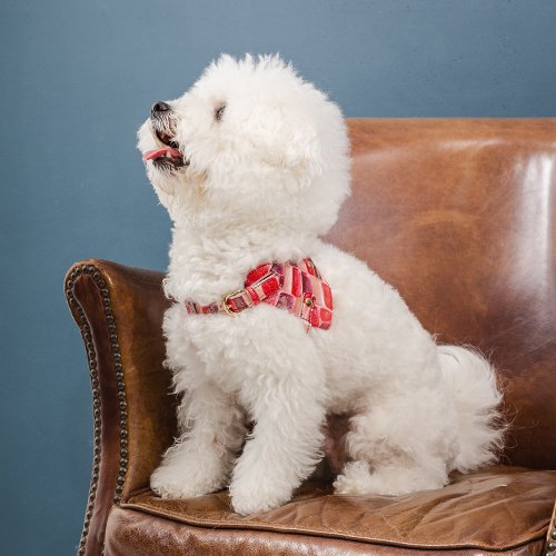 �ʥ�����ɥե�����ƥ� �ϡ��ͥ� �ܥǥ��٥�� B������ ���奨�꡼������ ����