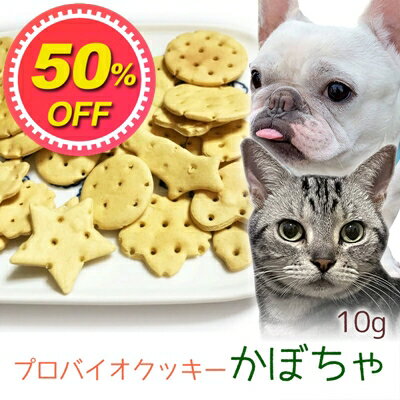 【50%OFF】【メール便】おやつ 無添加 国産 プロバイオクッキー かぼちゃ 10g ロゴスペット 犬猫用 シニア用 パピー 腸活 菌活 酵素ビスケット トリーツ