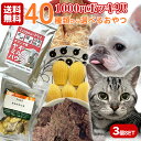 【初回限定】【1000円ポッキリ 送料無料】無添加おやつ＆サプリメント 40種類から選べる3個セット ロゴスペット 【メール便】無添加 食べやすい 試せる 少量 小分け 小袋 犬用おやつ 猫用おやつ 多頭飼い シニア サプリ 無添加おやつ 猫