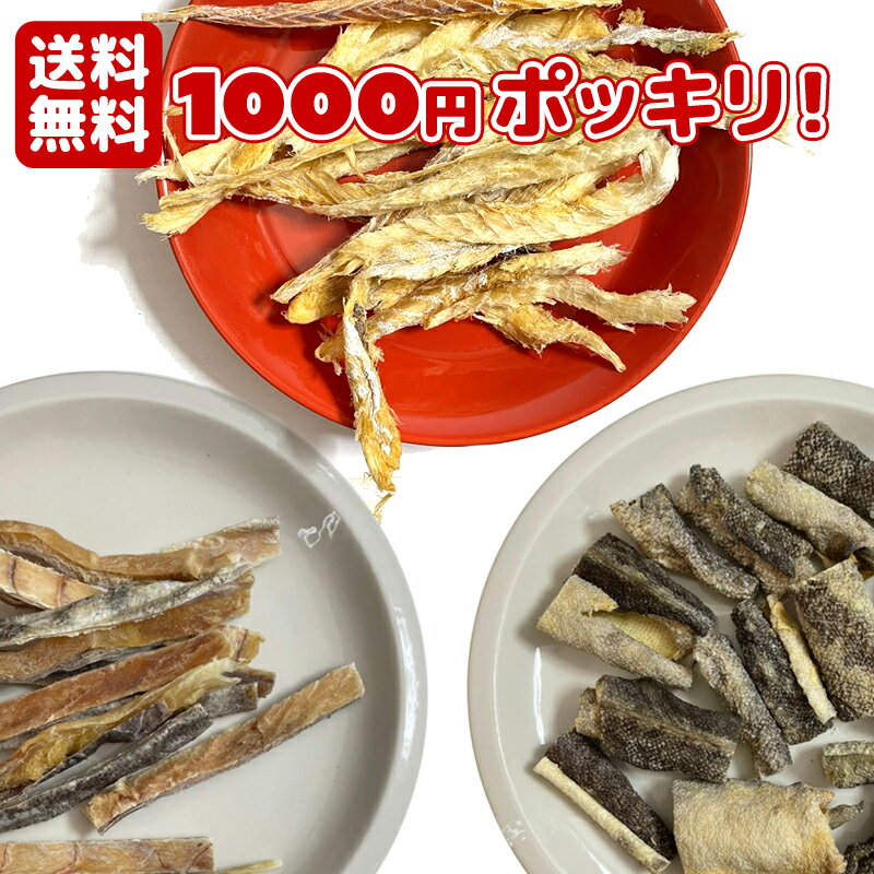 ※同梱不可 【初回限定】【1000円ポ