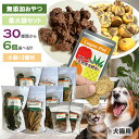 30種類から選べる やわらか おやつ&サプリ 大袋 6個セット シニア用 天然 犬用おやつ 猫用おやつ 大型多頭飼い 無添加 国産 サプリメント 柔らかい ささ...