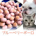 【20%OFF】おやつ 無添加 国産 ブルーベリーボーロ 200g ロゴスペット 天然 犬用 猫用 猫 犬猫用 柔らかい やわらかい トリーツ オーガニック【SBA】