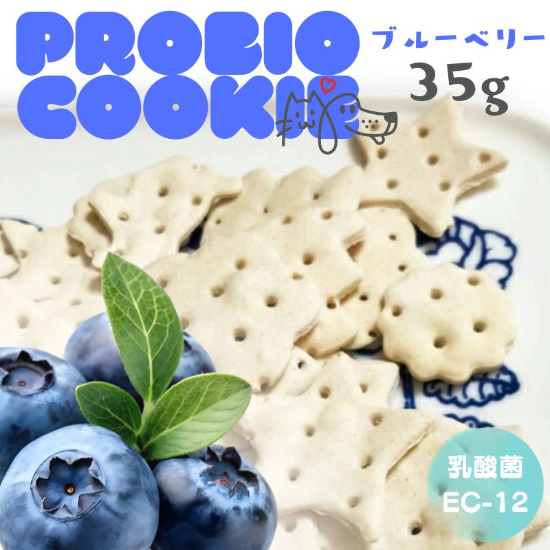 乐天商城 - 【20%OFF】【メール便】おやつ 無添加 国産 乳酸菌EC-12 500億個配合 プロバイオクッキー ブルーベリー 35g ロゴスペット 犬猫用 シニア パピー 腸活 菌活 酵素ビスケットトリーツ