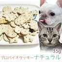 【メール便】おやつ 無添加 国産 プロバイオクッキー ナチュラル 35g ロゴスペット 犬猫用 シニア用 パピー 腸活 菌活 酵素ビスケット トリーツ