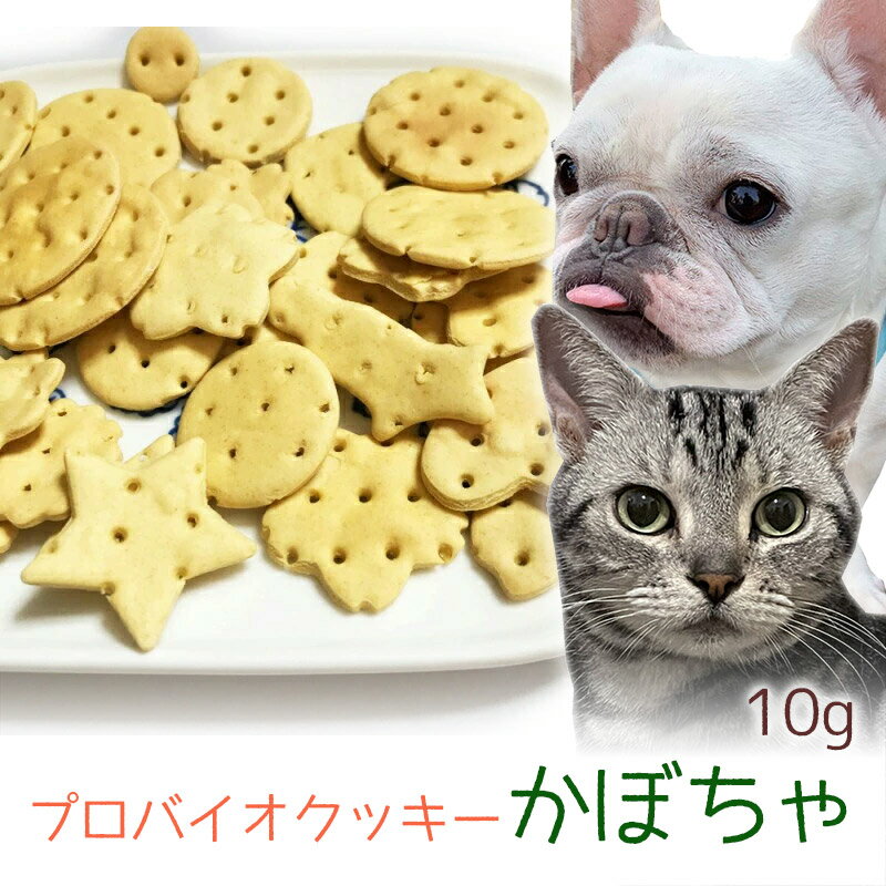 【メール便】おやつ 無添加 国産 プロバイオクッキー かぼちゃ 10g ロゴスペット 犬猫用 シニア用 パピー 腸活 菌活 酵素ビスケット トリーツ