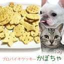 【メール便】おやつ 無添加 国産 プロバイオクッキー かぼちゃ 10g ロゴスペット 犬猫用 シニア用 パピー 腸活 菌活 酵素ビスケット トリーツ