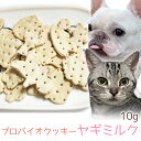 国産 プロバイオクッキー ヤギミルク 10g ロゴスペット 犬用 猫用 犬猫用 シニア用 無添加 パピー 成犬 無添加おやつ 犬 猫 腸活 菌活 酵素 プロバイオテック ビスケット クッキー【メール便】 トリーツ オーガニック