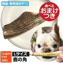 おやつ 無添加 鹿の角 国産 犬用 Lサイズ ロゴスペット ペット 鹿 シカ デンタル 歯磨き ハミガキ 歯石 ジビエ 鹿角 シカ おもちゃ 鹿系 アレルギー ガム 硬い