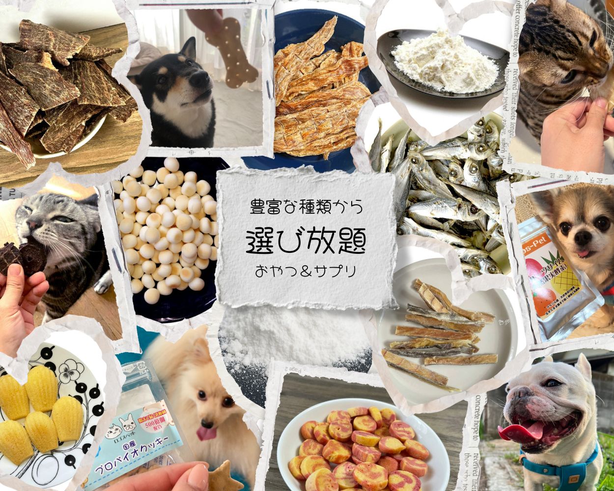 �� ����� ̵ź�� �ڥå� �� 40���फ�����٤� ���Ѥ���� 3�ĥ��å� �����ᤷ ���� ��ʬ�� ���� ������� ¿Ƭ���� ���˥� ���ץ� ��