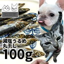 無添加 おやつ 煮干 高知県産 減塩うるめ丸煮干し 犬猫用 100g ロゴスペット 煮干完全無添加 ヒューマングレード 無調味 無着色 保存料不使用 うるめいわし猫おやつ 犬用 トリーツ