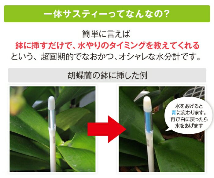 ��ʬ�� ��������å��� sustee �����ƥ��� M������ 5�ܥ��å� �����ƥ� �ۥ磻�� ���꡼�� ����ӥΥ��� ���ꥵ���ƥ� ��ʬ ���� ��ʪ �� ��ʬ �� �����å��� ���տ�ʪ ���� �ھ���ʬ �ھ���ʬ�� ��� ����ȭ ��ʬ �� ȭ �����ǥ˥����� �ƥ�ӤǾҲ� ���㤤�����å�