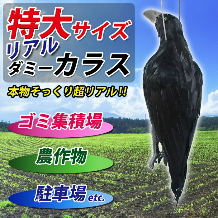 カラスよけ ゴミ箱 カラス撃退 ダミー 撃退グッズ カラス除け カラス対策 カラス撃退 カラスよけ カラス対策グッズ 畑 カラス よけ 対策 グッズ 死骸 模型 撃退グッズ ゴミ置き場 ゴミ 車 庭 玄関 鳥よけ とりよけ ベランダ 鳥よけグッズ 鳥対策 柿 送料無料 特大サイズ