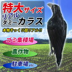 カラスよけ ゴミ箱 カラス撃退 ダミー 撃退グッズ カラス除け カラス対策 カラス撃退 カラスよけ カラス対策グッズ 畑 カラス よけ 対策 グッズ 死骸 模型 撃退グッズ ゴミ置き場 ゴミ 車 庭 玄関 鳥よけ とりよけ ベランダ 鳥よけグッズ 鳥対策 柿 送料無料 特大サイズ