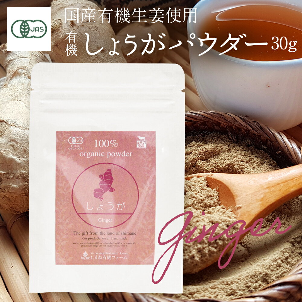 ͭ礦ѥ 30gڥ᡼̵3ĤޤǡˡͭJASǧ ˥å  ʴ ޤͭե Organic Ginger Powder 1 piece 30g