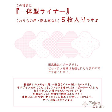 布ナプキン おりもの セット とってもお得な福袋 ライナー おりものシート 5枚セット 日本製 布ナプ合計2,000円（税込）以上でメール便送料無料 ルランルラン パンティーライナー おりもの用ライナー 一体型 布ナプ ルランルラン 彩の国優良ブランド品