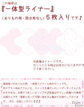 布ナプキン セット とってもお得な福袋 おりものライナー・5枚・セット 【クロネコDM便送料無料】 ルランルラン おりものシート パンティーライナー おりもの用ライナー 一体型 布ナプ 【RCP】