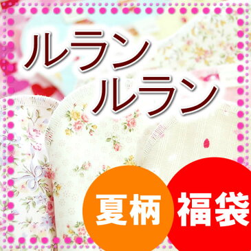 布ナプキン セット とってもお得な福袋 おりものライナー・5枚・セット 【クロネコDM便送料無料】 ルランルラン おりものシート パンティーライナー おりもの用ライナー 一体型 布ナプ 【RCP】