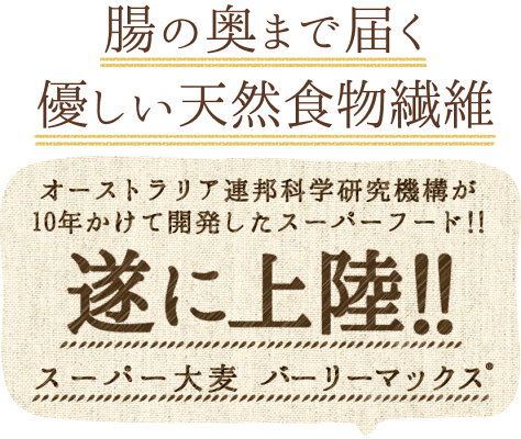スーパー大麦バーリーマックス180g正規品