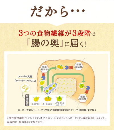 スーパー大麦バーリーマックス180g正規品