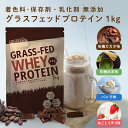  LOHAStyle(ロハスタイル) グラスフェッド ホエイプロテイン チョコ 抹茶 バニラ 苺 1kg 甘すぎない 人工甘味料 不使用 アミノ酸スコア100 プロテイン カカオ WPC おきかえダイエット