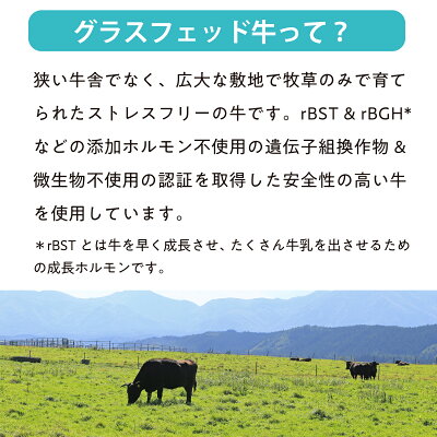 ホエイプロテイン1kgグラスフェッド無添加ナチュラルホエイプロテイン100Non-GMOアミノ酸スコア100ホエイホエープロテインWPCLOHASportsロハスポーツ