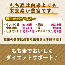 もち麦 国産 950g モチプリで美味しく健康生活 ご飯に混ぜる麦 モチ麦 もち 麦 大麦 糖質カット 糖質オフ 糖質制限 LOHAStyle