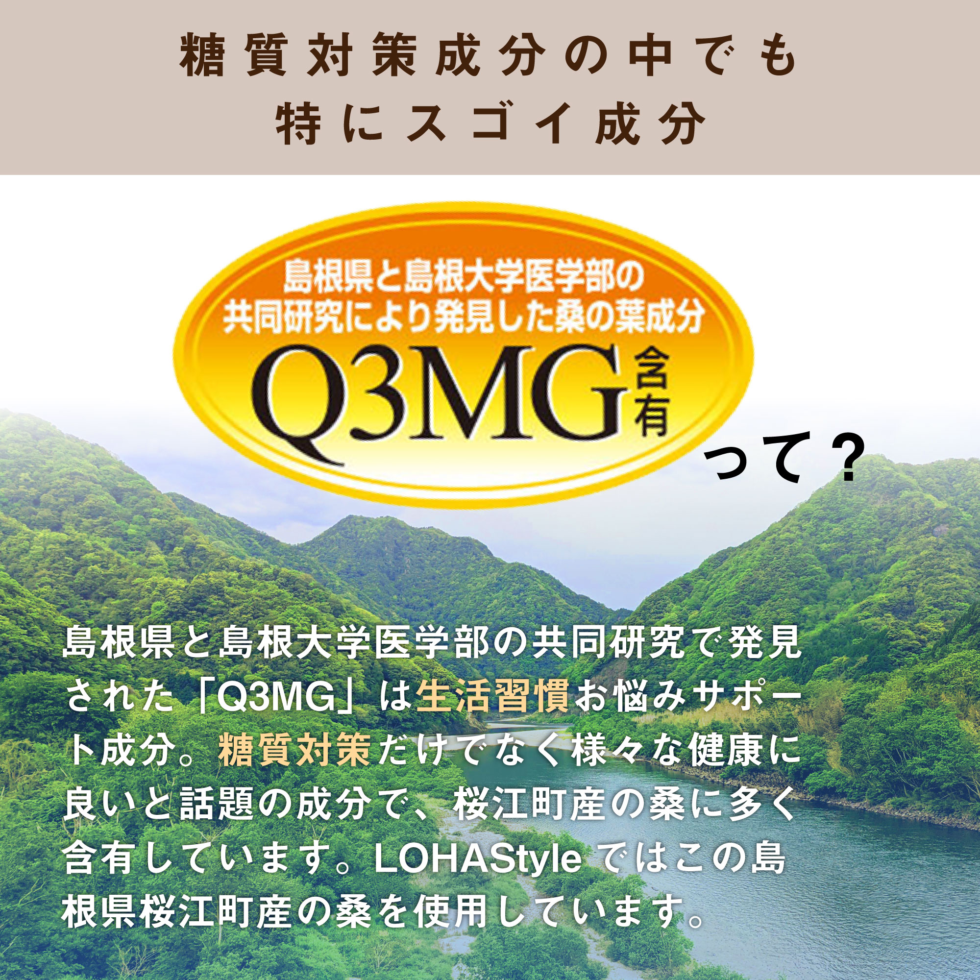 生桑茶 桑の葉茶 粉末 分包 30包 (島根県桜江町産 特別栽培の桑使用) 個包装 持ち運び 外出時に便利 糖質制限 桑 桑の葉 茶 パウダー 桑茶 くわ くわ茶 国産 特別栽培 ノンカフェイン 糖質対策専用 茶の雫 健康茶 ロハスタイル LOHAStyle