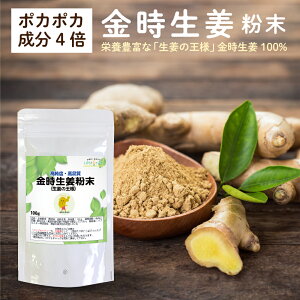 生姜 金時生姜 粉末 100g しょうが パウダー ジンジャー 生姜の王様 通常生姜の4倍以上のポカポカ成分 金時しょうが 生姜パウダー ショウガパウダー ロハスタイル LOHAStyle [M便 1/12]