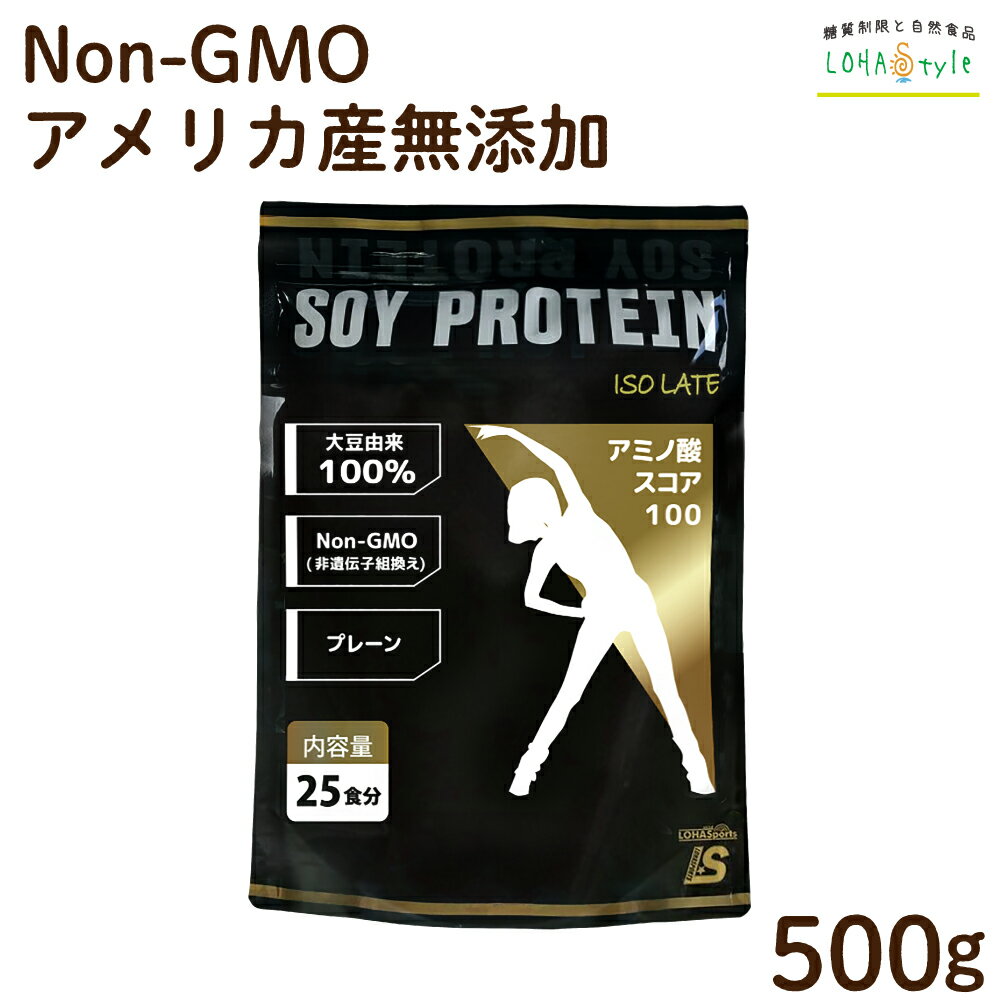 大豆プロテイン 500g ソイプロテイン Non-GMO（非遺伝子組換え） アミノ酸スコア100 大豆 プロテイン タンパク質 植物性 イソフラボン含有 女性 大豆たんぱく 低糖質 LOHAStyle