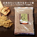 お米みたいに炊けるオーツ麦 900g オートミール グルテンフリー グレインカットオーツ麦 燕麦 炊飯用 オーツ麦 お米に混ぜる シリアル ホールフード OAT MEAL 糖質カット 糖質オフ 糖質制限 ロハスタイル LOHAStyle