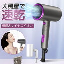 「マラソン10%OFF→2952円」ドライヤー DRYER 大風量 ドライヤ ヘアドライヤー ヘアードライヤー マイナスイオン 速乾 家電 美容 恒温 1300...