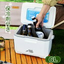「マラソン500円OFF→2980円」クーラーバッグ 6L 保冷剤付き 保温 保冷バッグ 小型 軽量 クーラーボックス クーラーBOX ハード COOLER BOX 保冷バッグ ランチボックス おしゃれ かわいい 部活 ピクニック アウトドア 釣り BBQ 海水浴 お花見