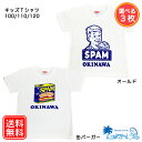 キッズ Tシャツ かわいい 半袖 『 スパム キッズTシャツ 3枚セット 選べるデザイン オールド or 缶バーガー 100 / 110 / 120 』 　沖縄限定Tシャツ スパムTシャツ ティーシャツ プレゼント 送料無料