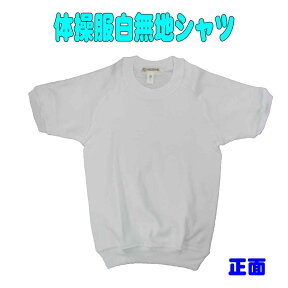 体操服　白無地シャツ 半袖シャツ 体操着 お受験 幼児教室 体操教室 運動会 行動観察 幼児 園児 小学生 105cm ～130cm ★お受験 ロリポップ★