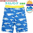 スイムパンツ 子供用 北極柄 紫外線カット UV CUT 男の子 水着 100cm〜130cm 夏休み 海 プール 日焼け