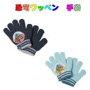 手袋 恐竜ワッペン アクリル 子供用 キッズ 保育園 幼稚園 小学校 入園 入学